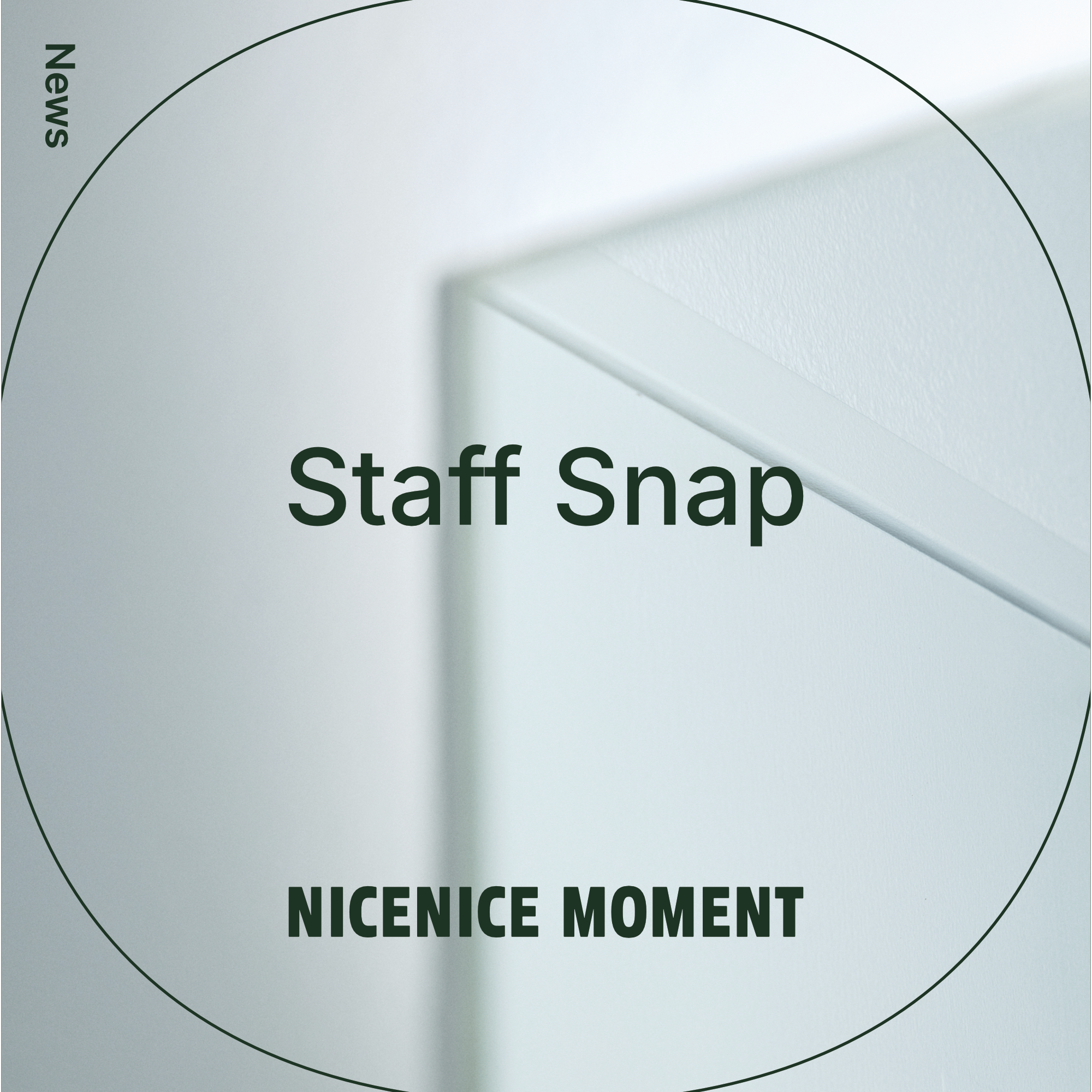 Staff Snap｜スタッフのリアルな着用レビュー